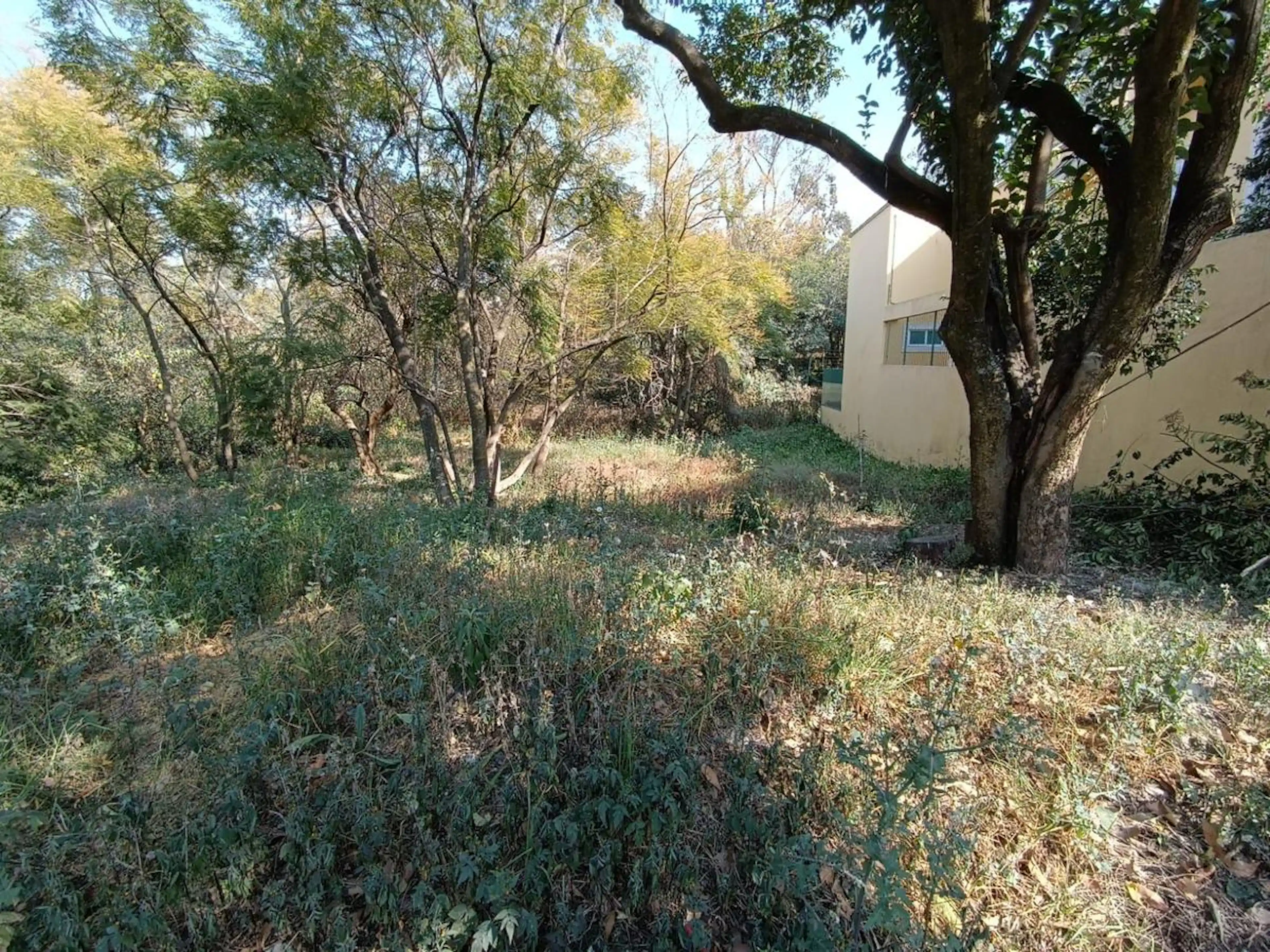 Terreno En Lomas de Chapultepec