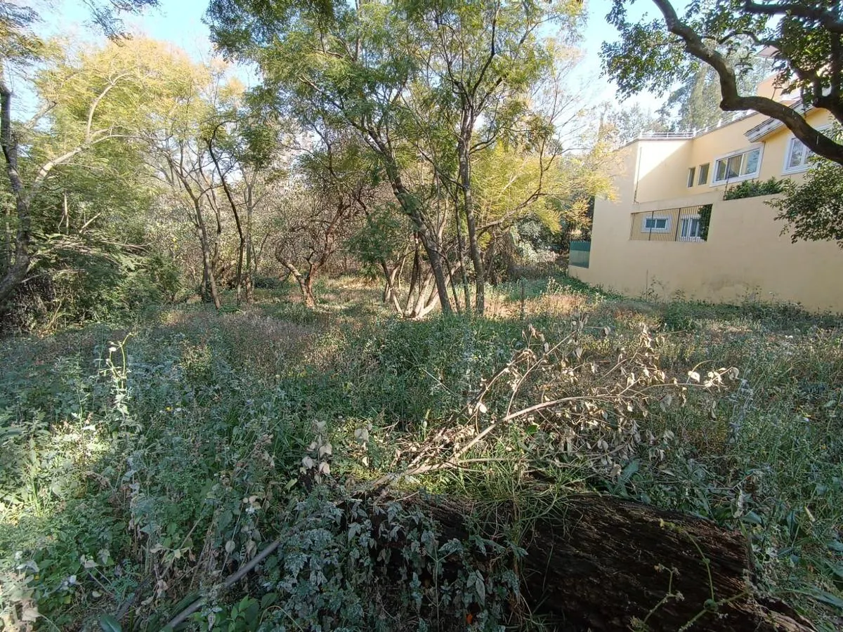 Terreno Spot2