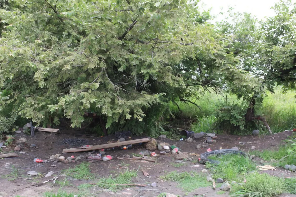 Terreno Spot2