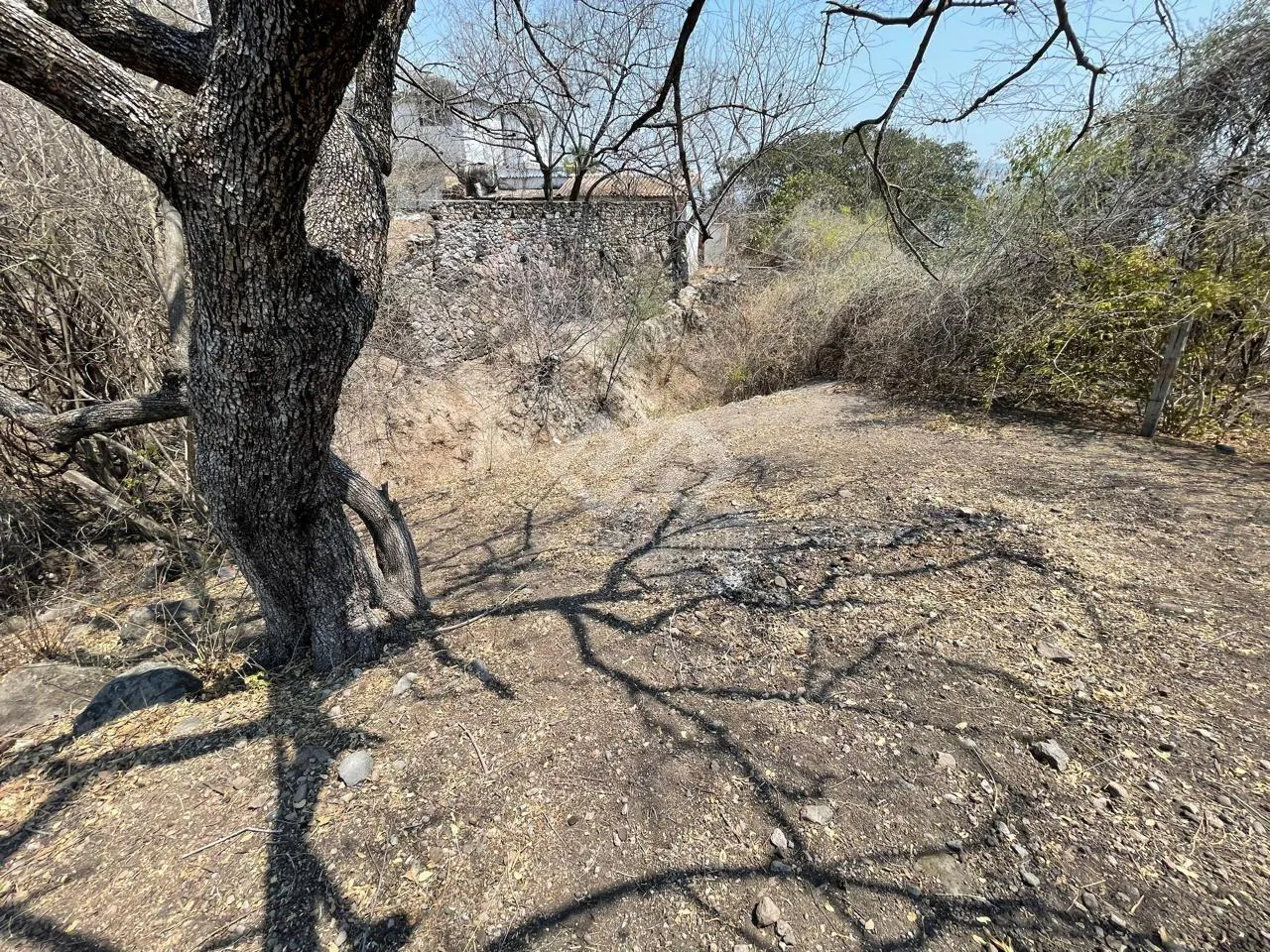 Terreno Spot2