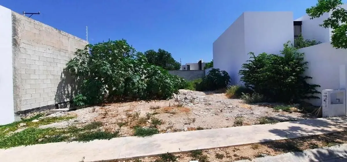 Terreno Spot2
