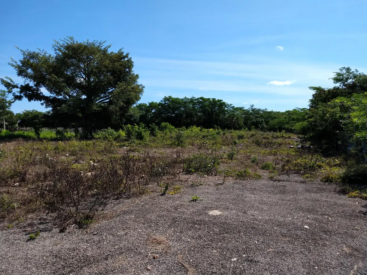 Terreno Spot2