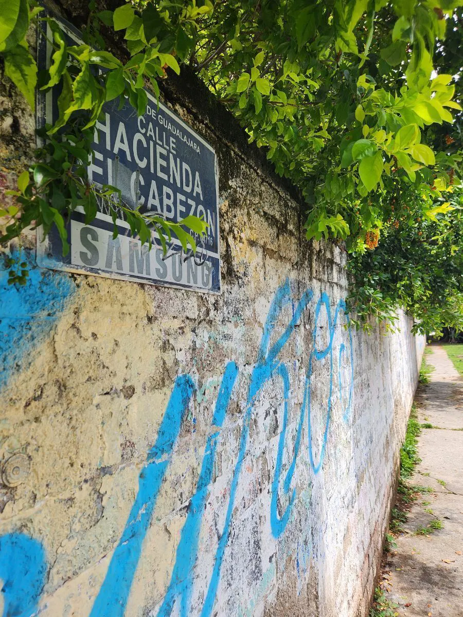 Terreno Spot2