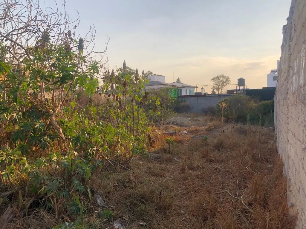 Terreno Spot2