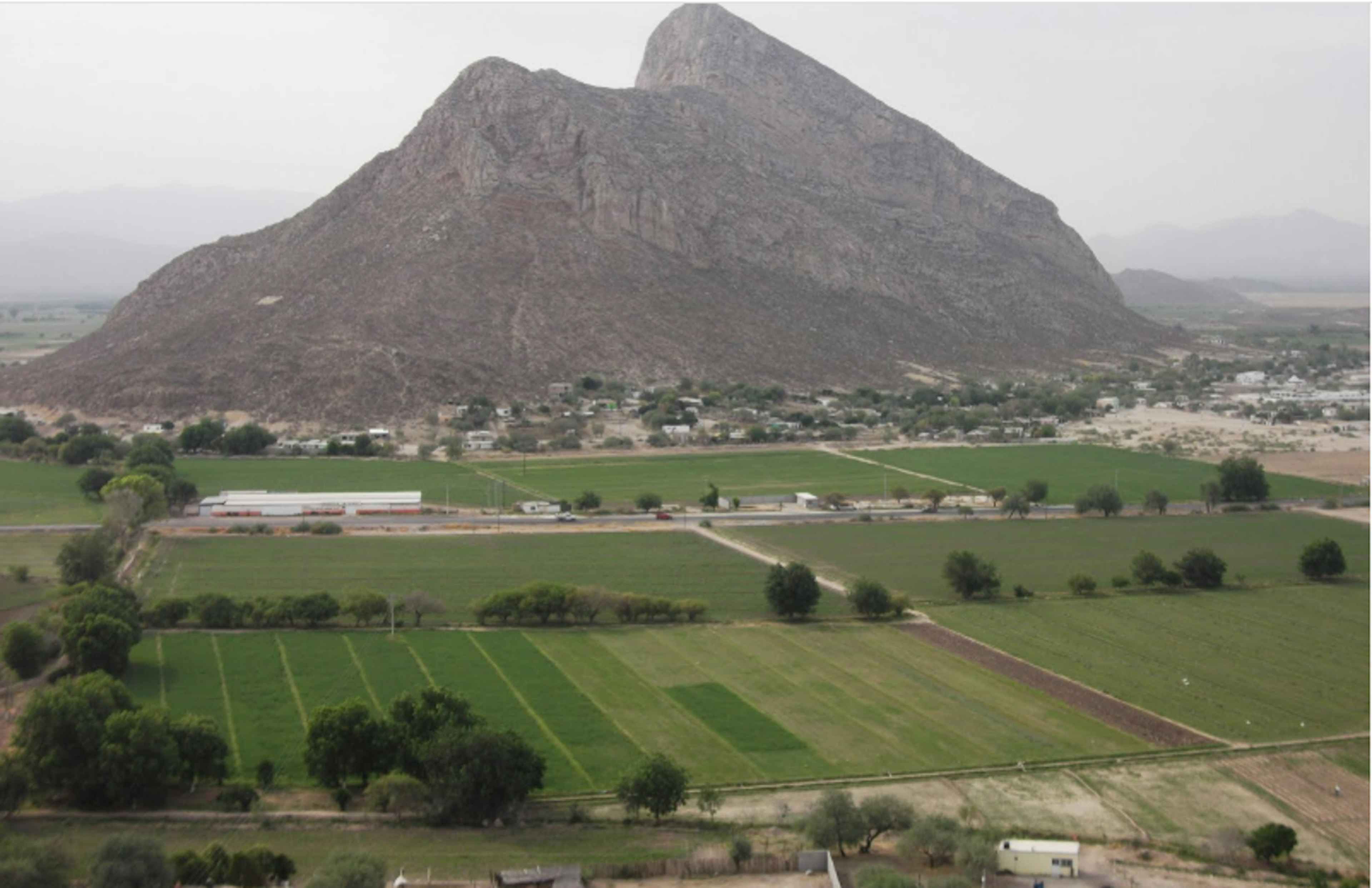 Terreno En Venta En León Guzmán, Lerdo, Durango