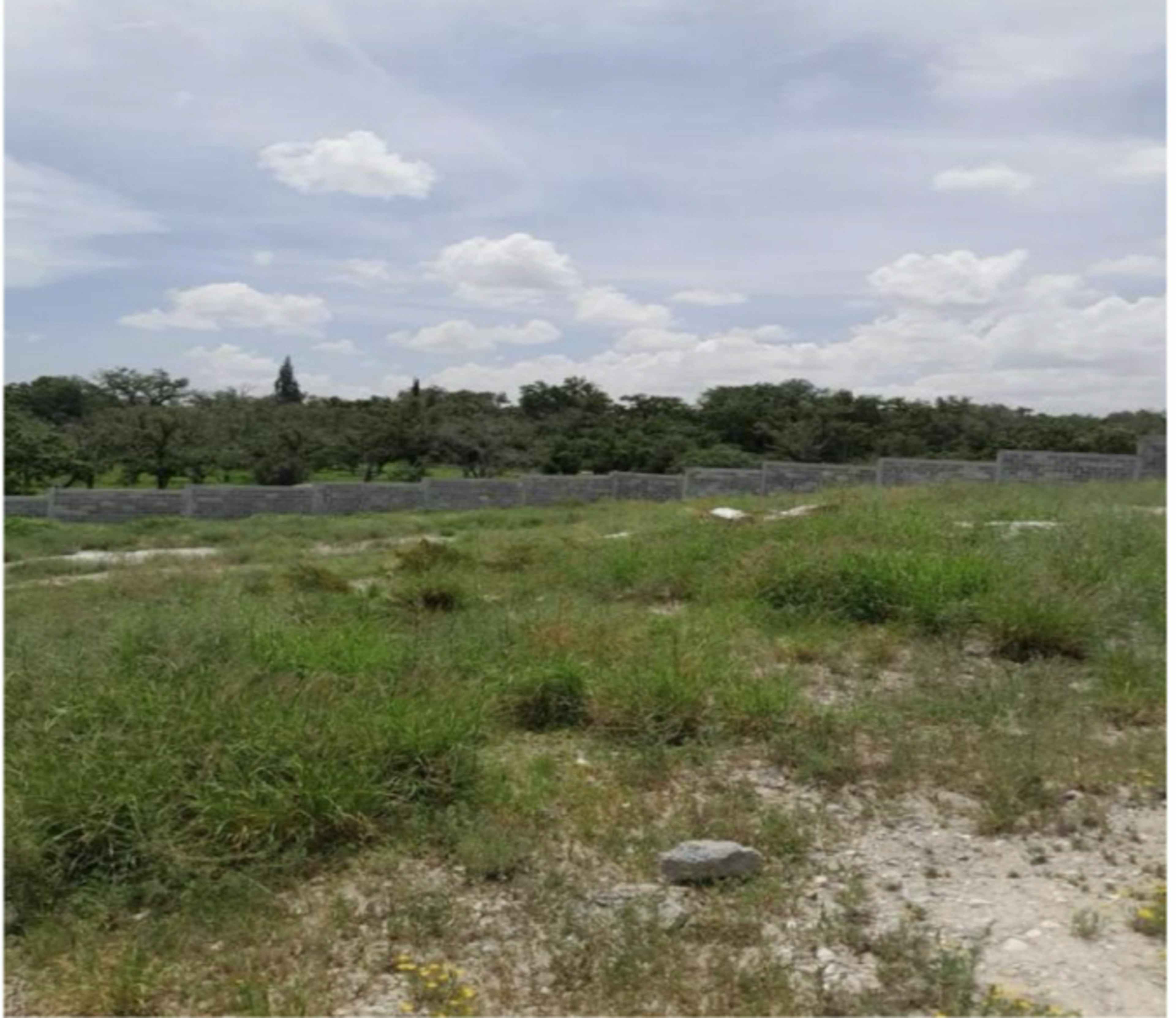 Terreno De La Loma, Parras, Coahuila De Zaragoza