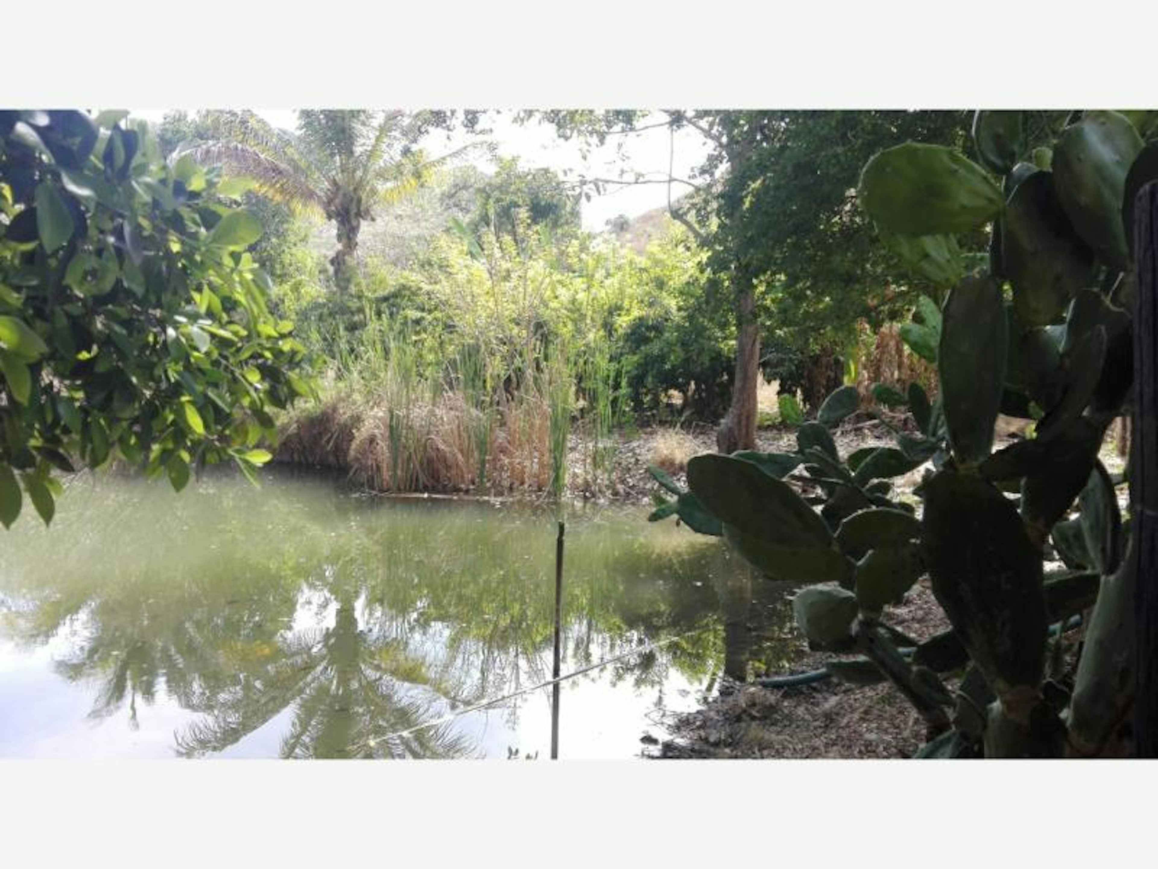 Terreno En Venta En El Mixcuate, Villa De Álvarez, Colima