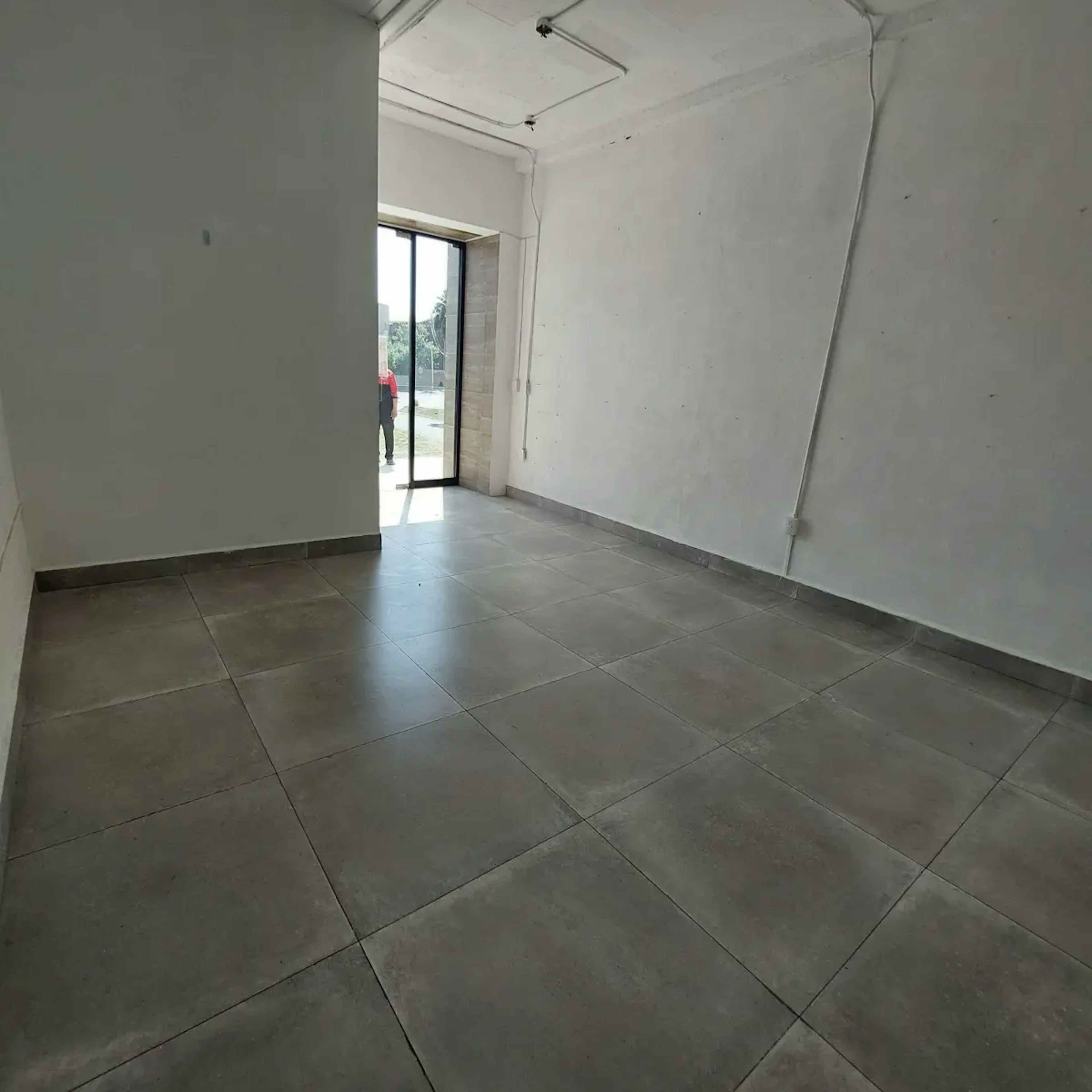 Avenida Abraham Lincoln