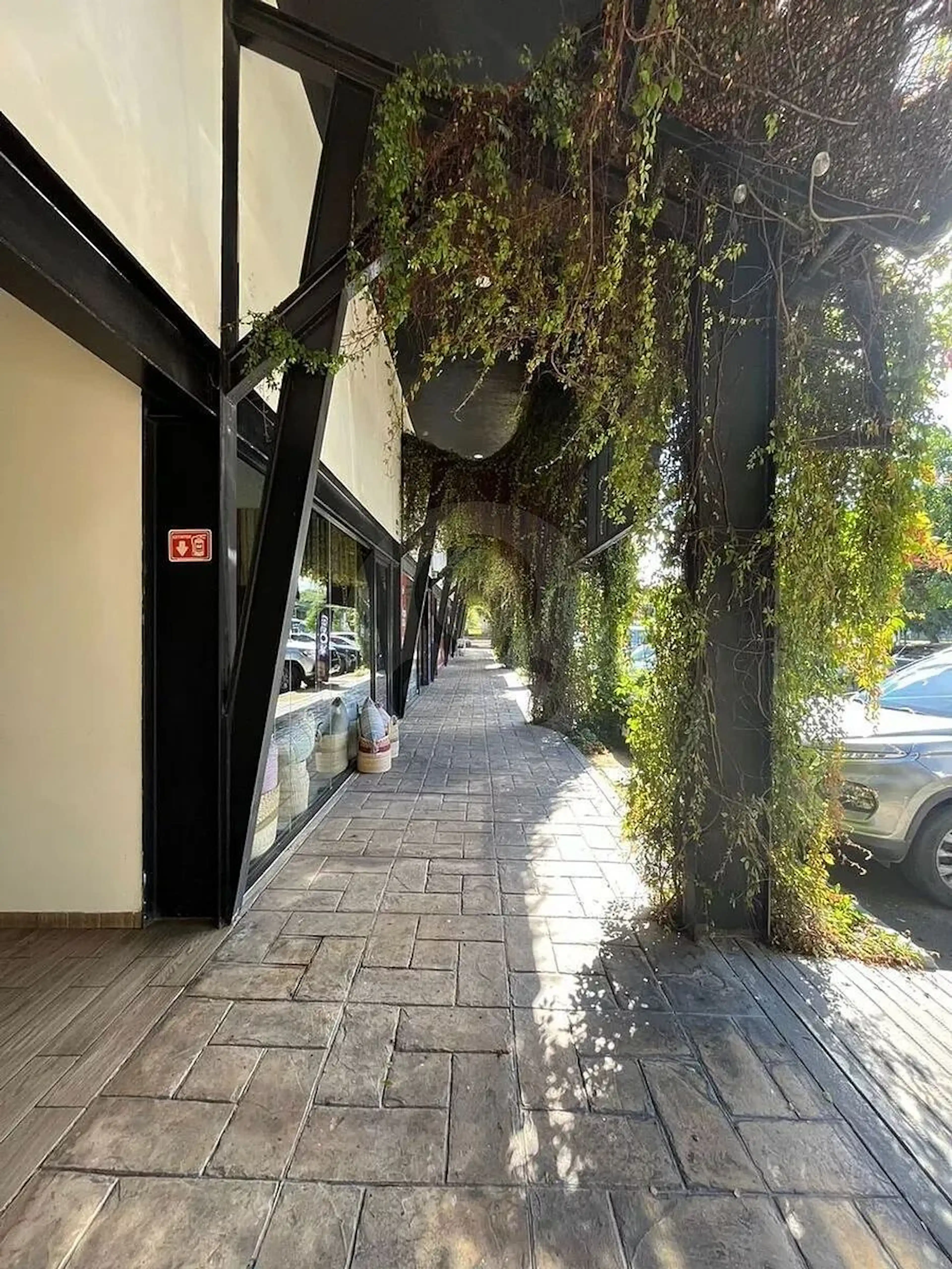 Calle 5