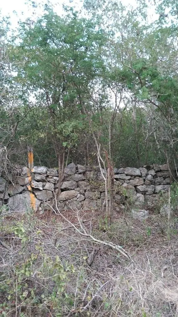 Terreno Spot2