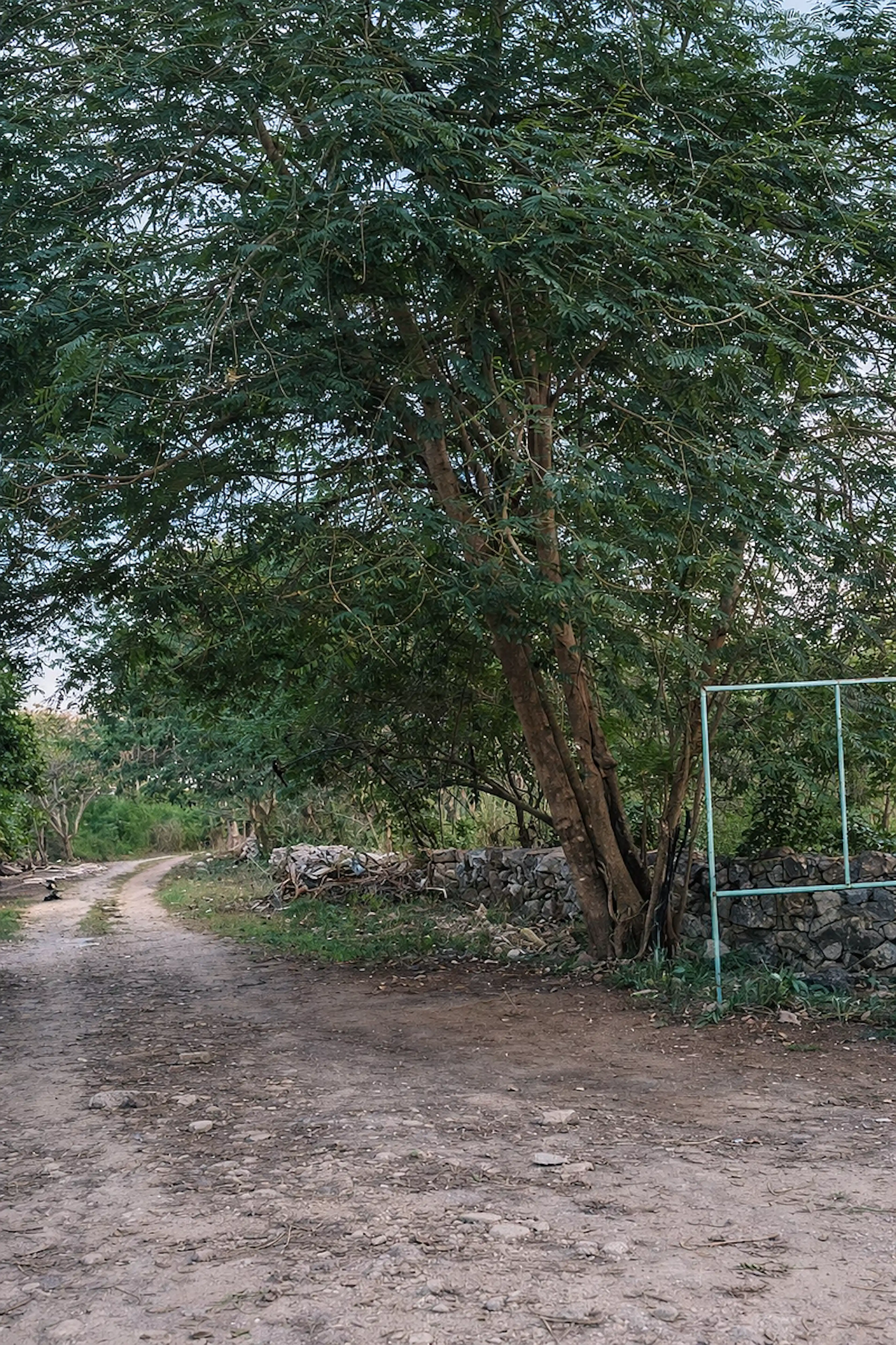 Terreno De 988 M2 En Venta En Conkal