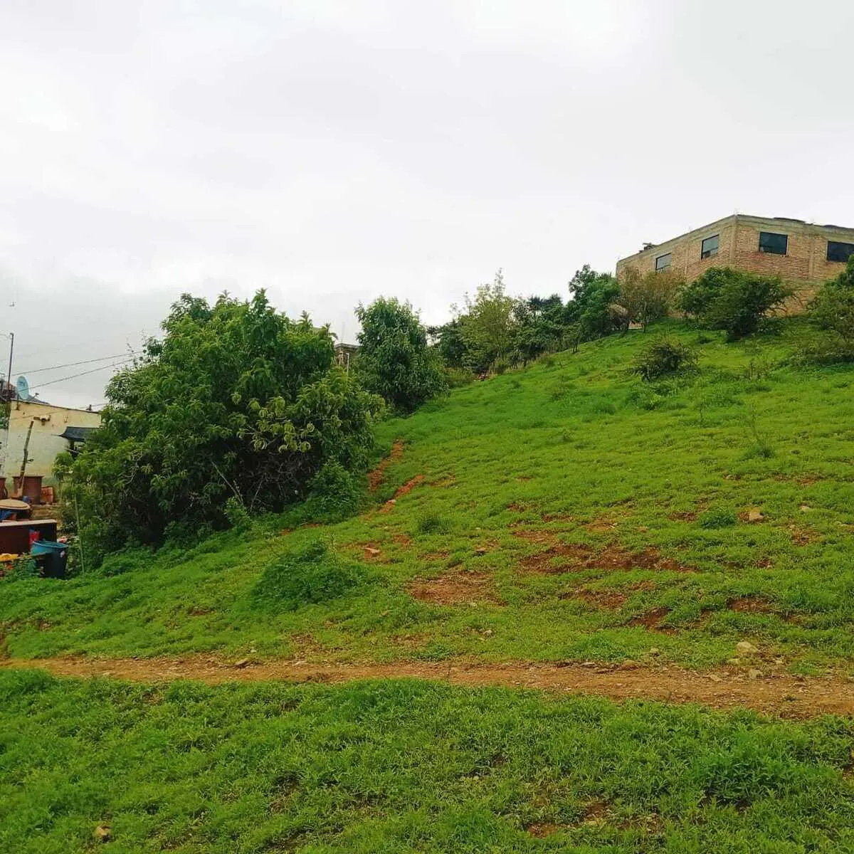 Terreno Spot2