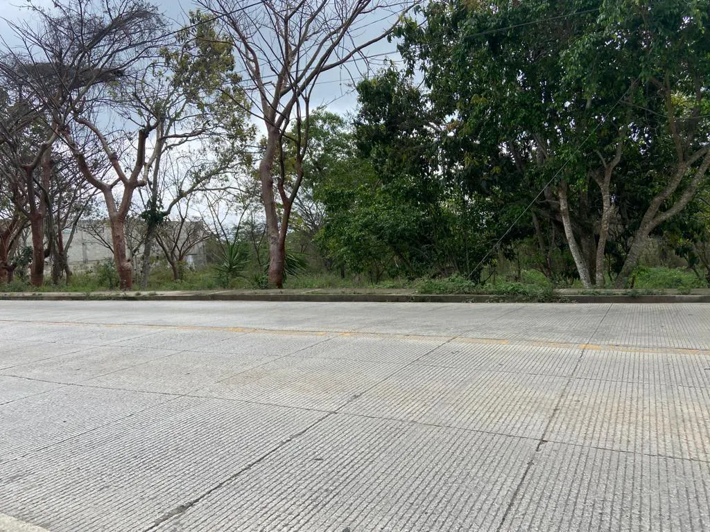 Terreno Spot2