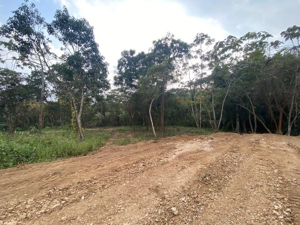 Terreno Spot2