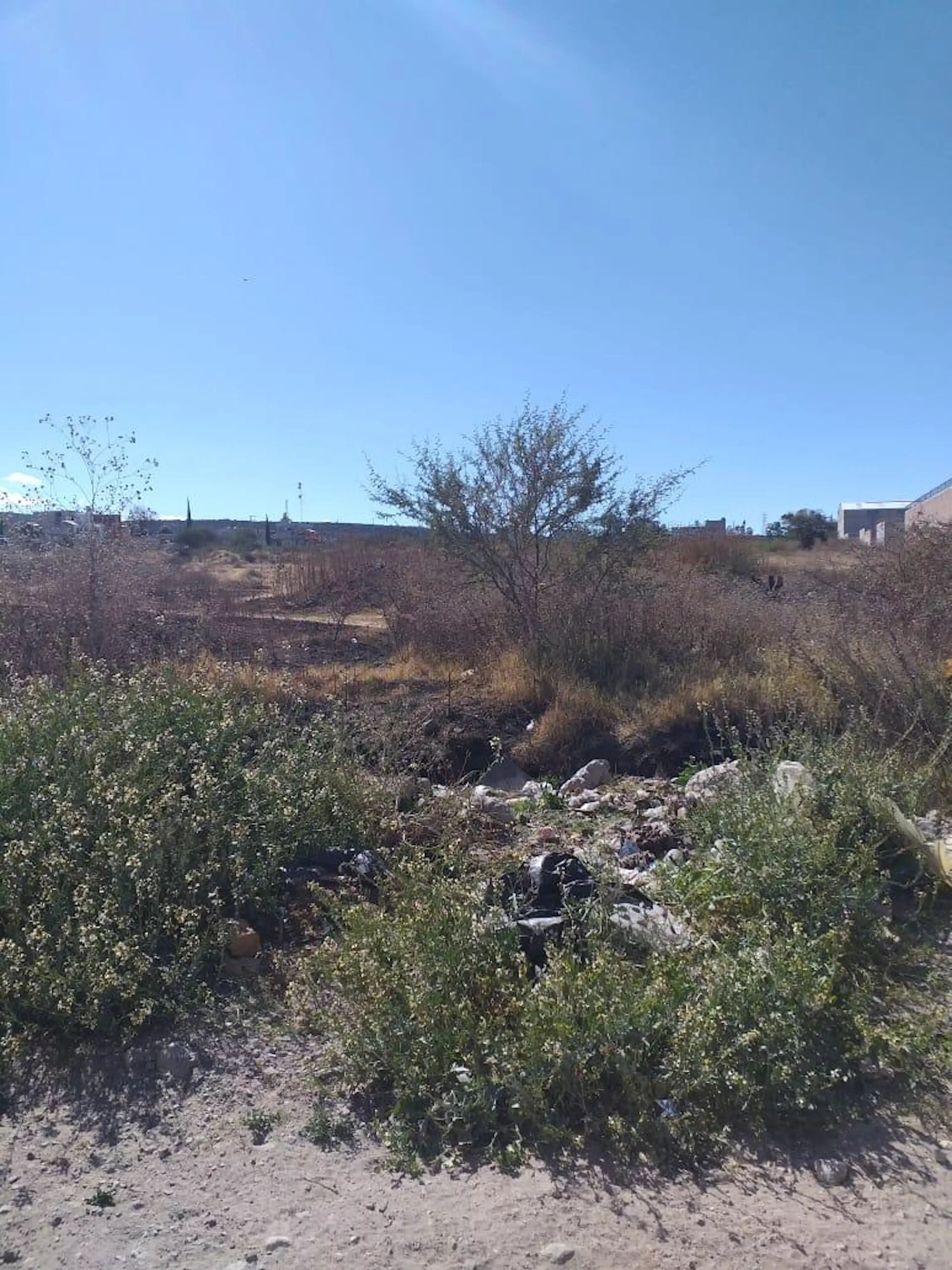 Terreno De Dos Hectareas Cerca Del Conin