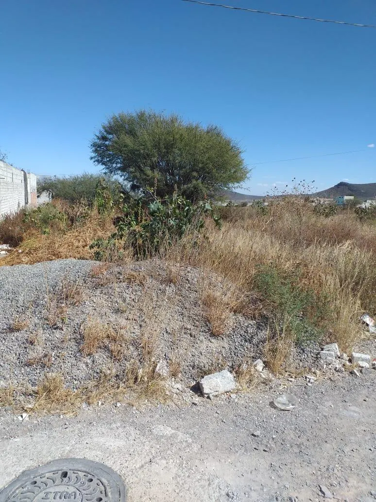 Terreno Spot2