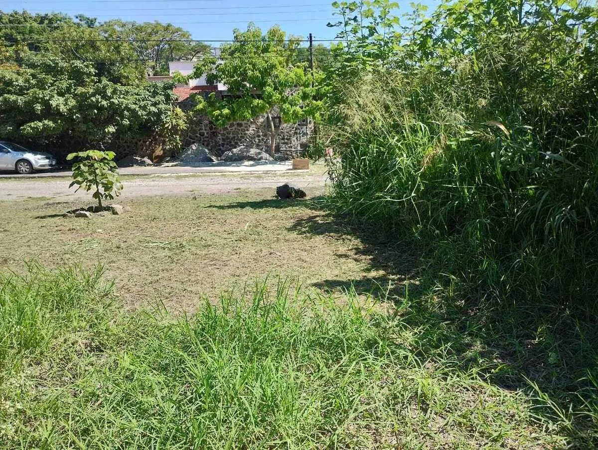 Terreno Spot2