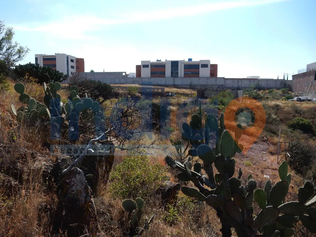 Terreno Spot2