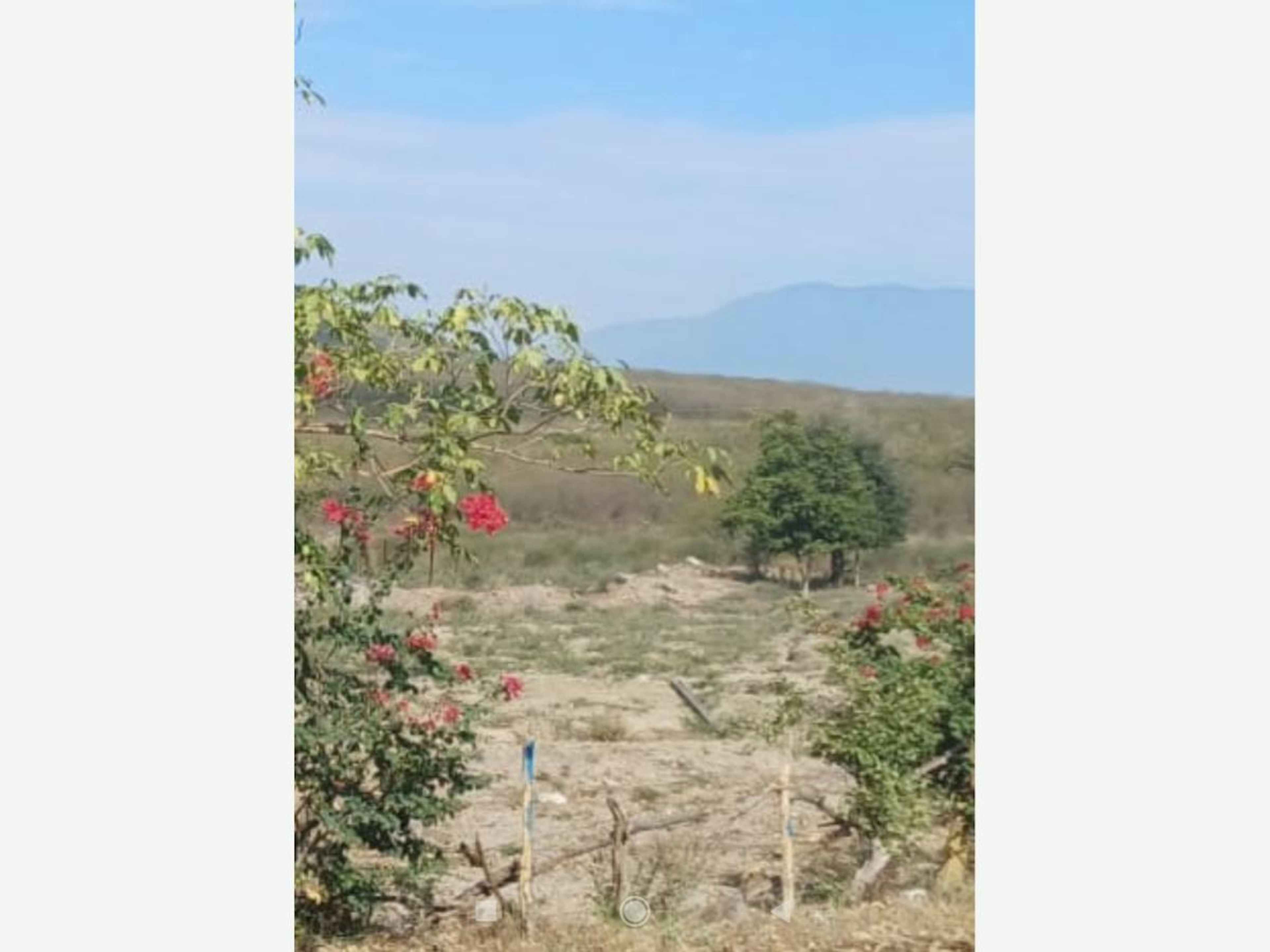 Terreno En Venta En Los Asmoles, Colima, Colima