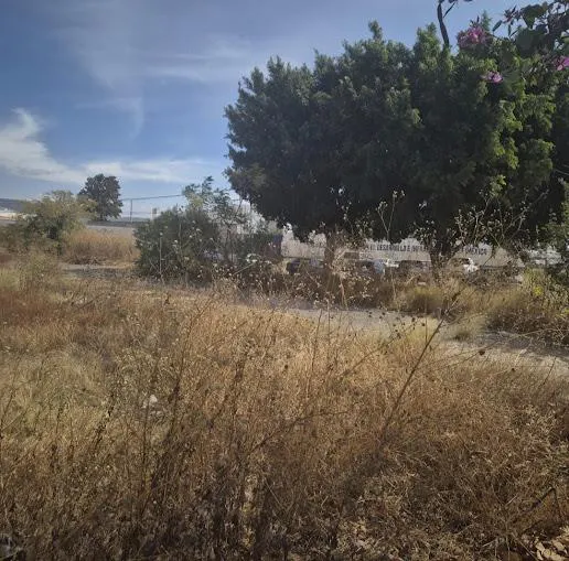 Terreno Spot2