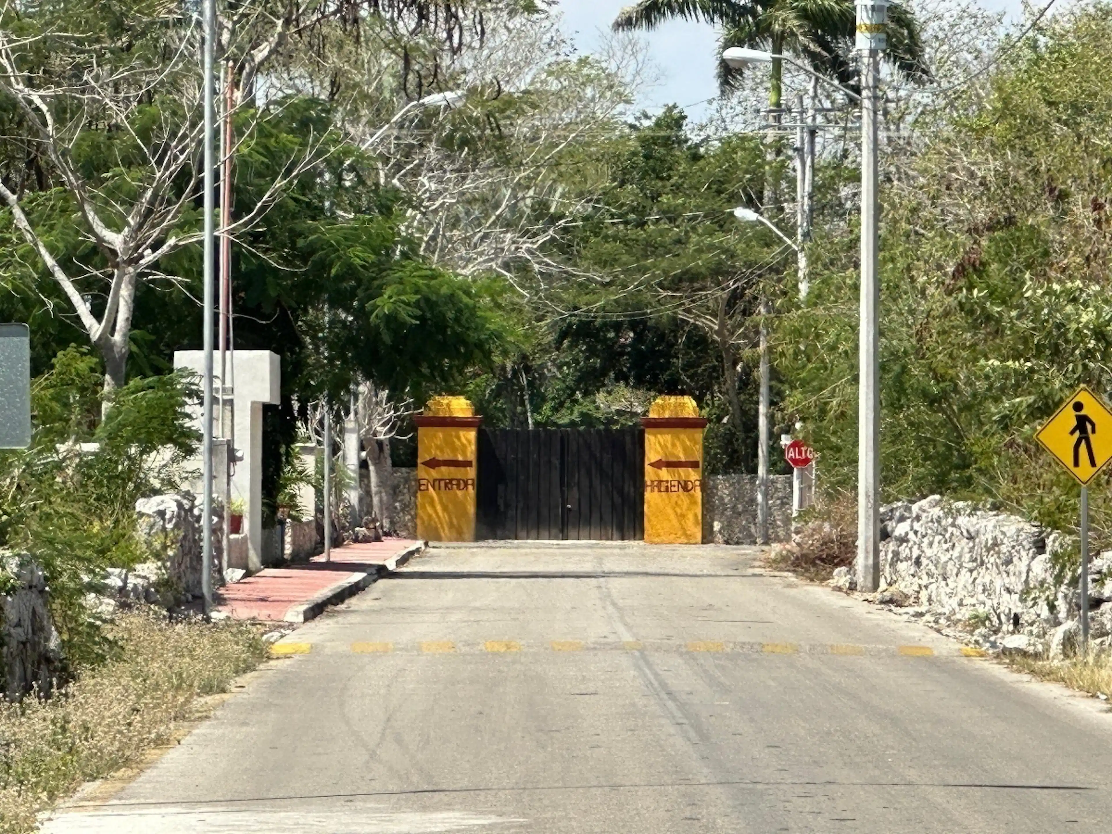 Terreno en venta al norte de Mérida ideal para desarrolladores - $214 x m2