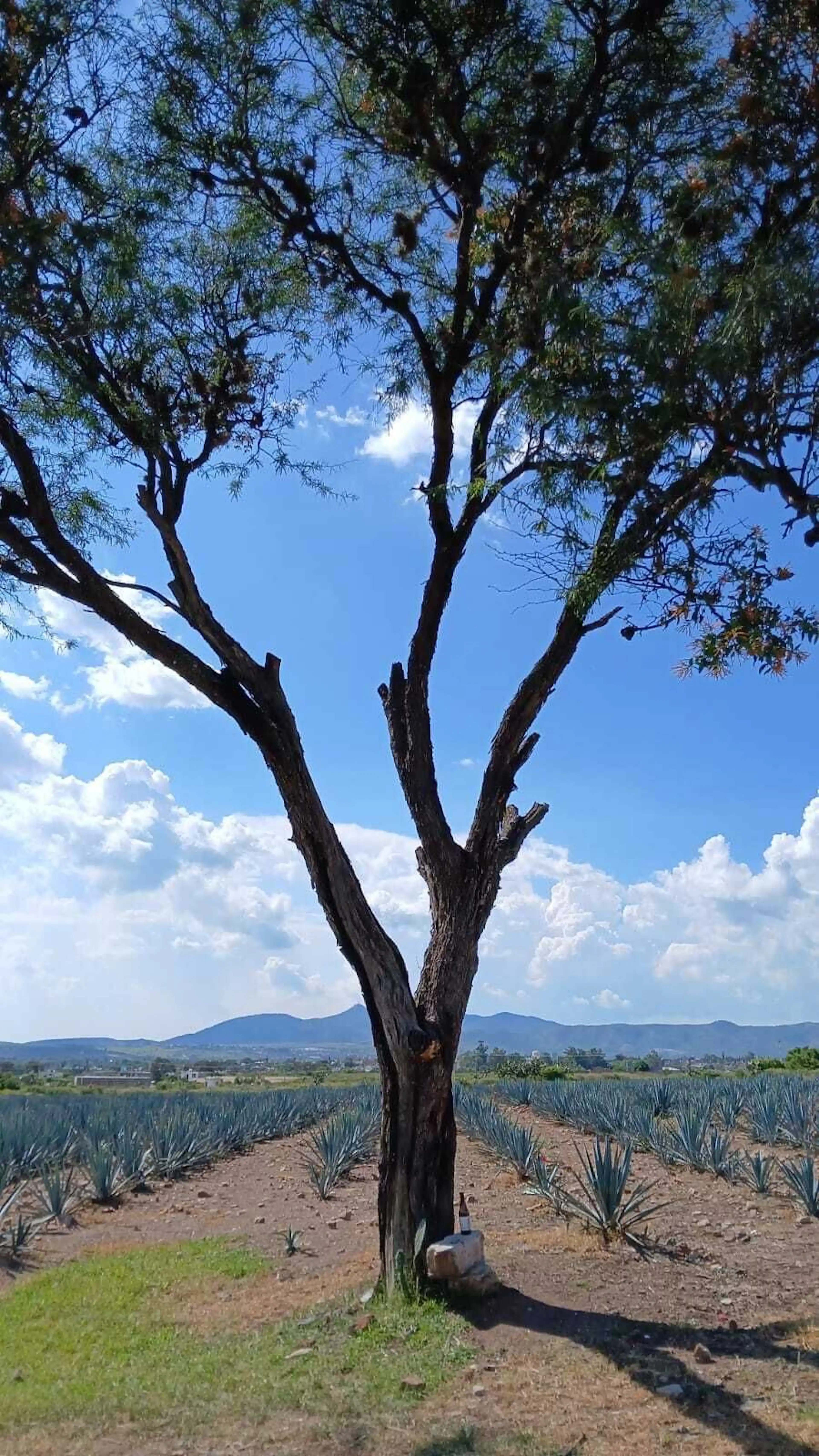 Macro Lote En Venta En Puentecillas