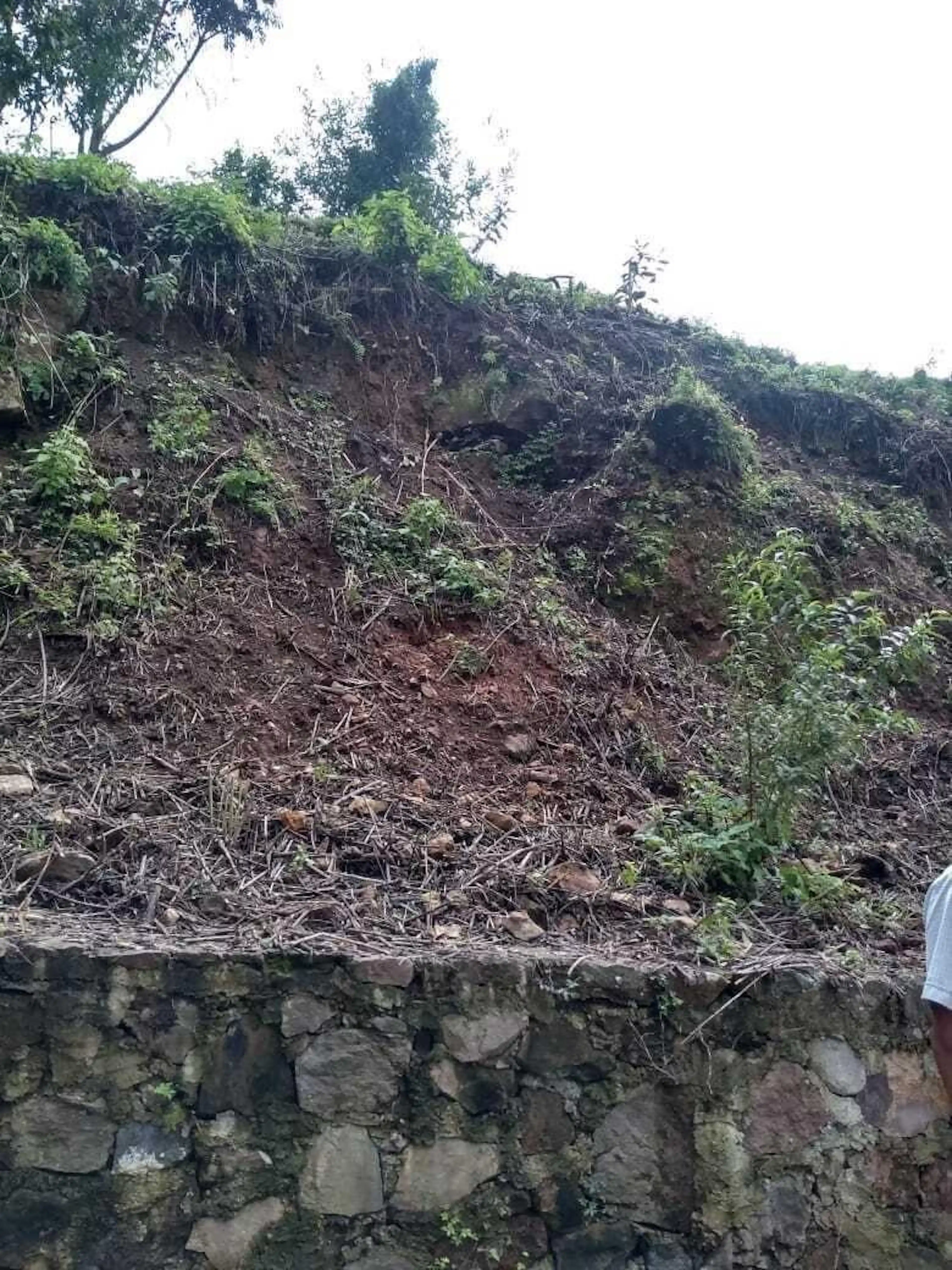 Terreno Agrícola Con Ojo De Agua Y Aguacates En La Candelaria