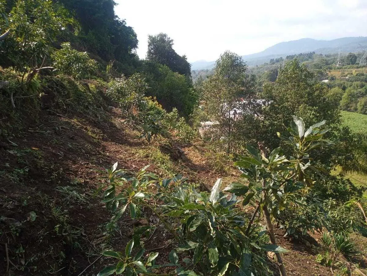 Terreno Spot2