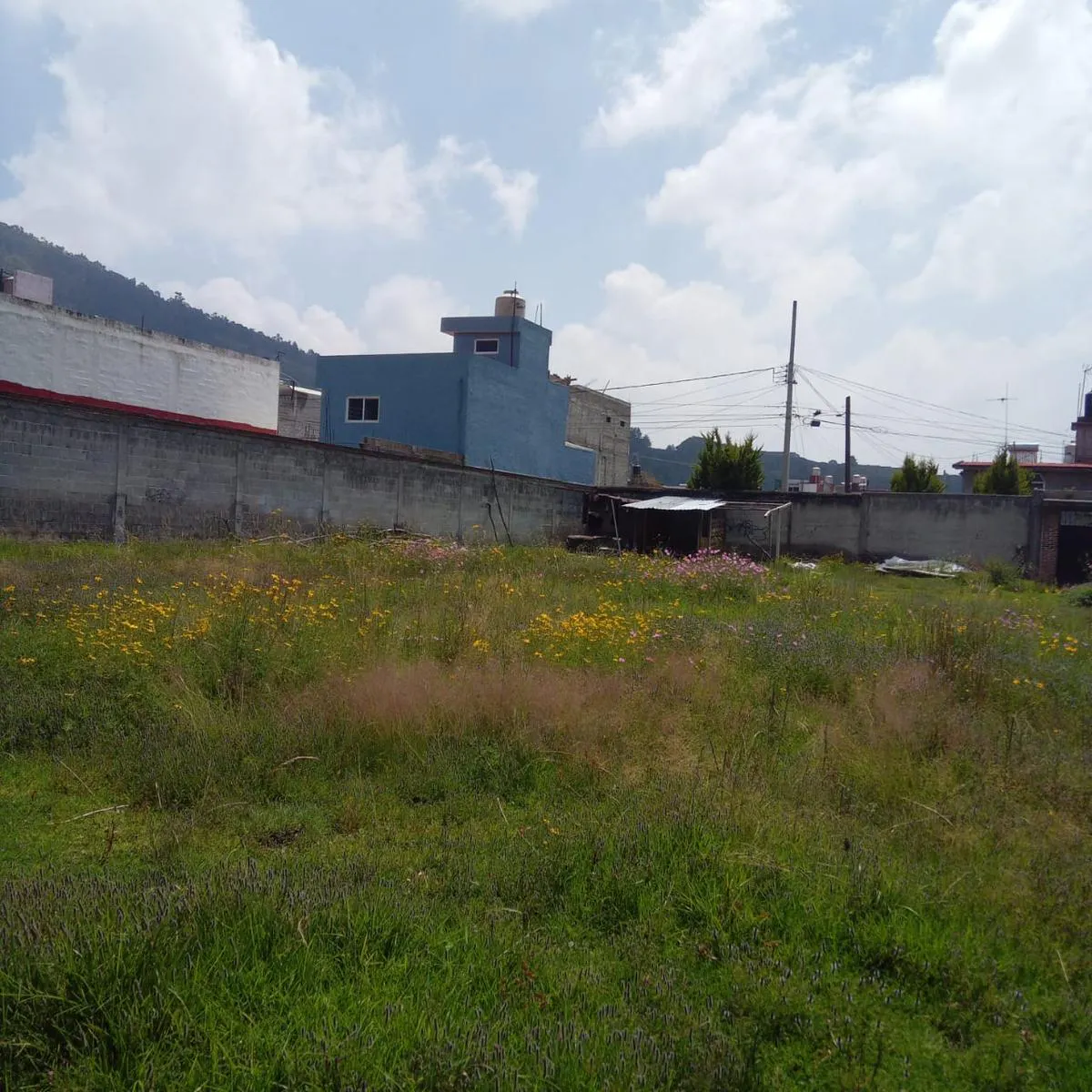 Terreno Spot2