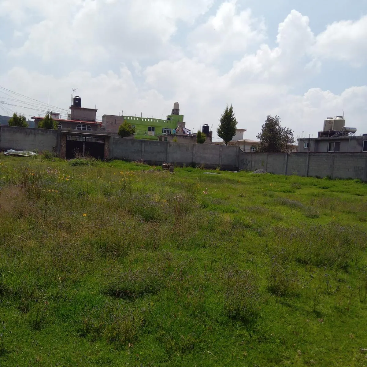Terreno Spot2