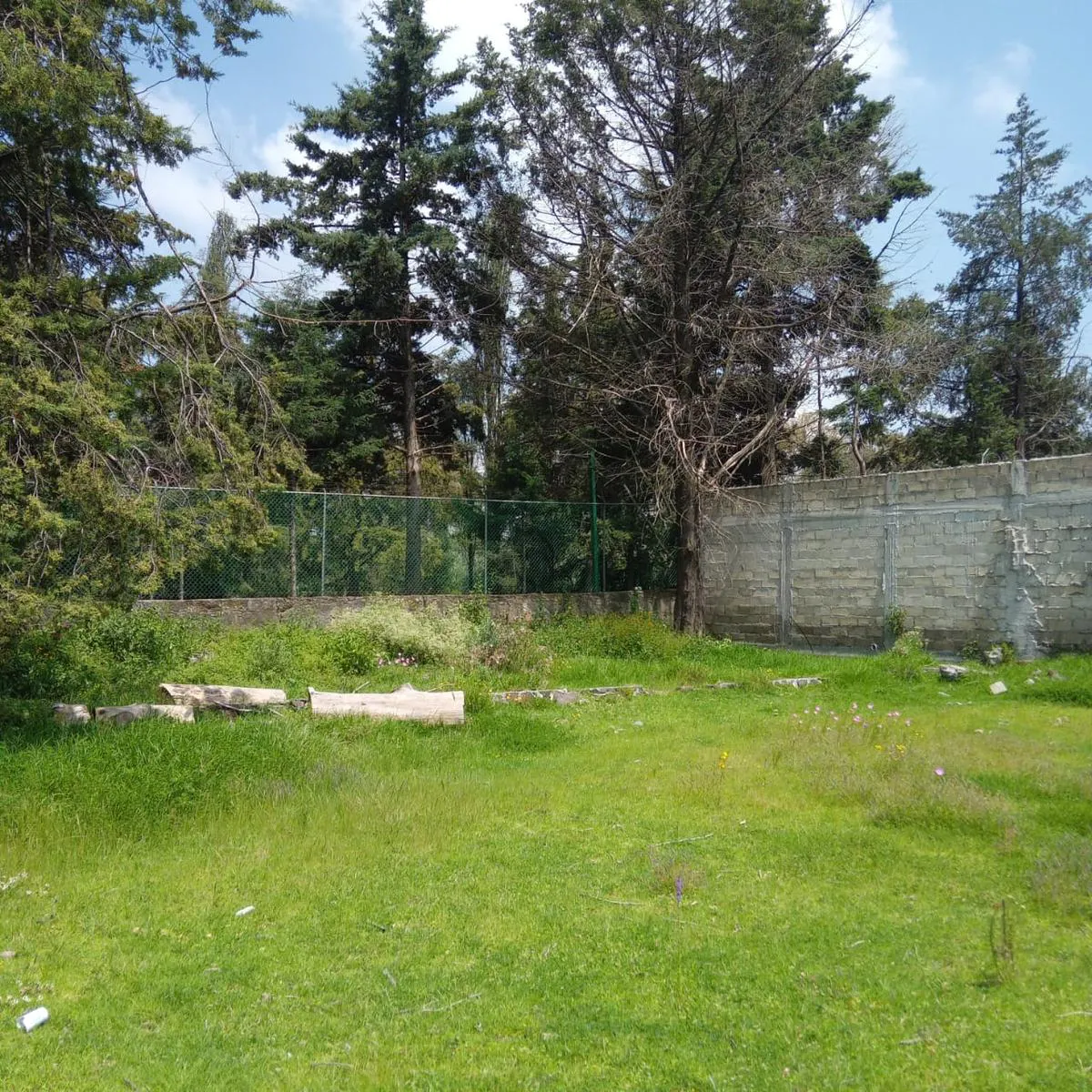 Terreno Spot2
