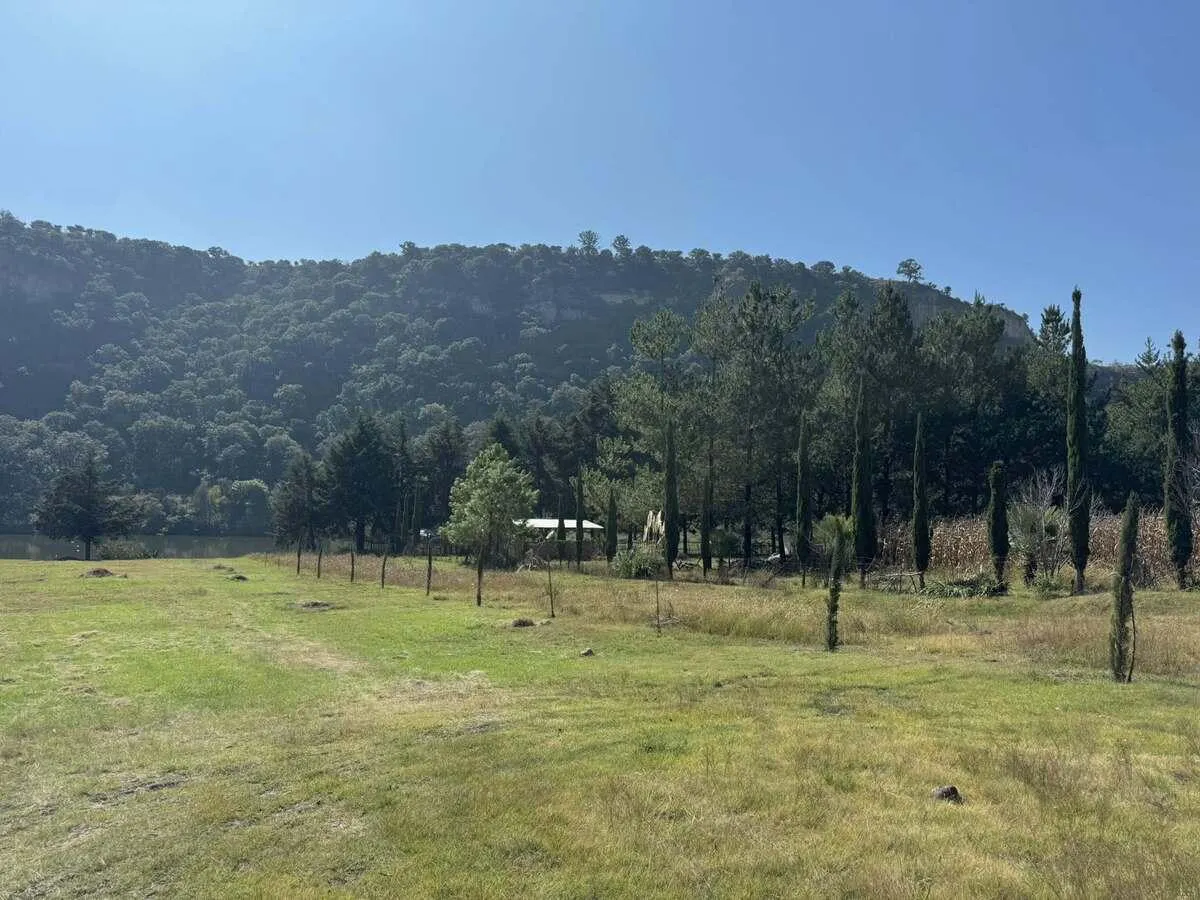 Terreno Spot2