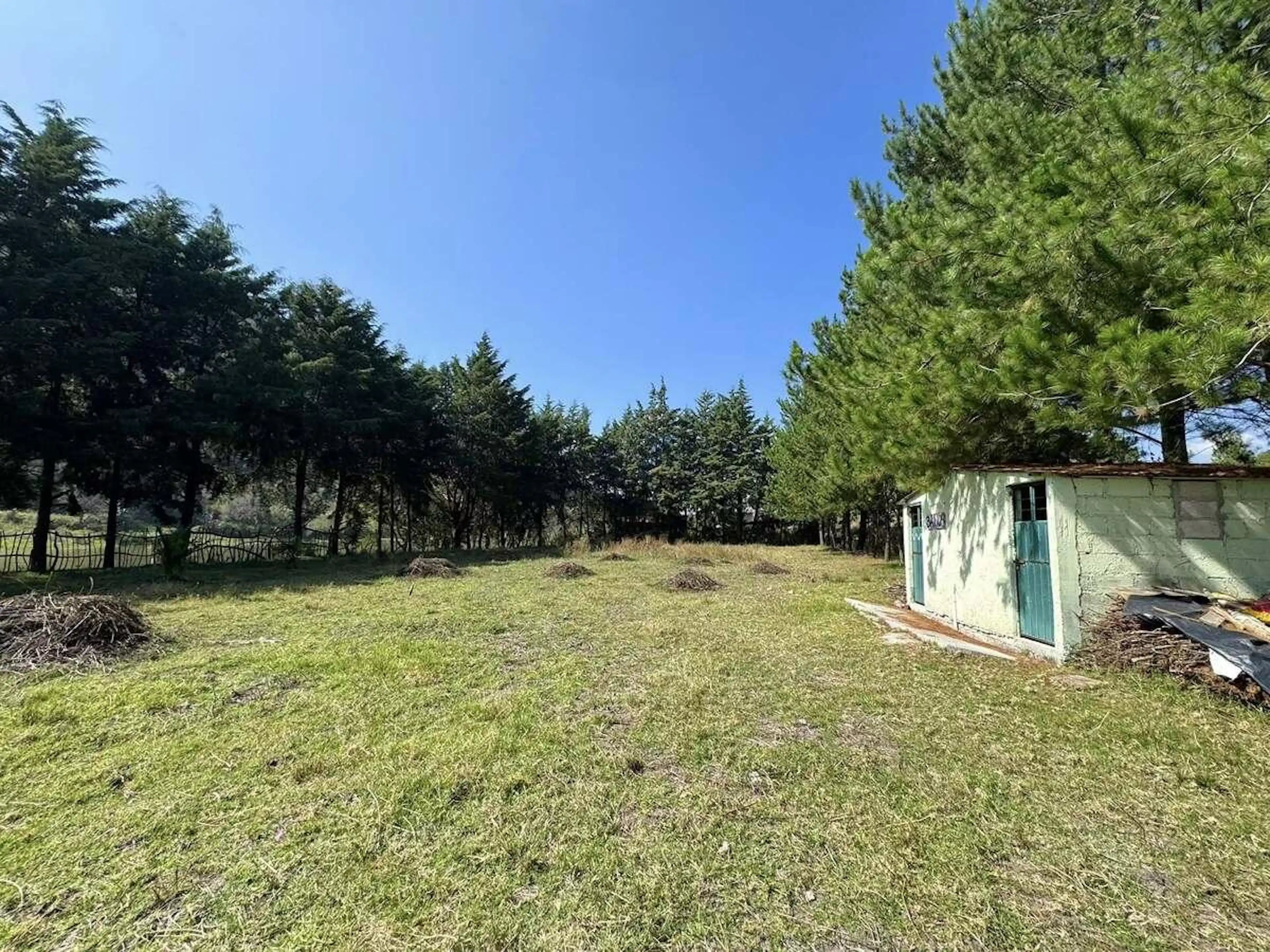 Terreno en La Cruz y Carrizal