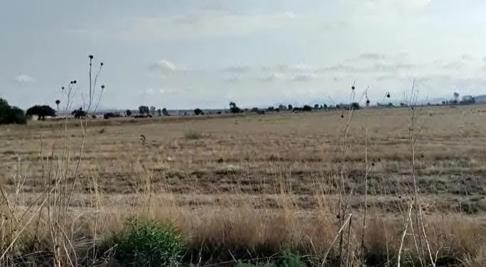 Terreno Spot2