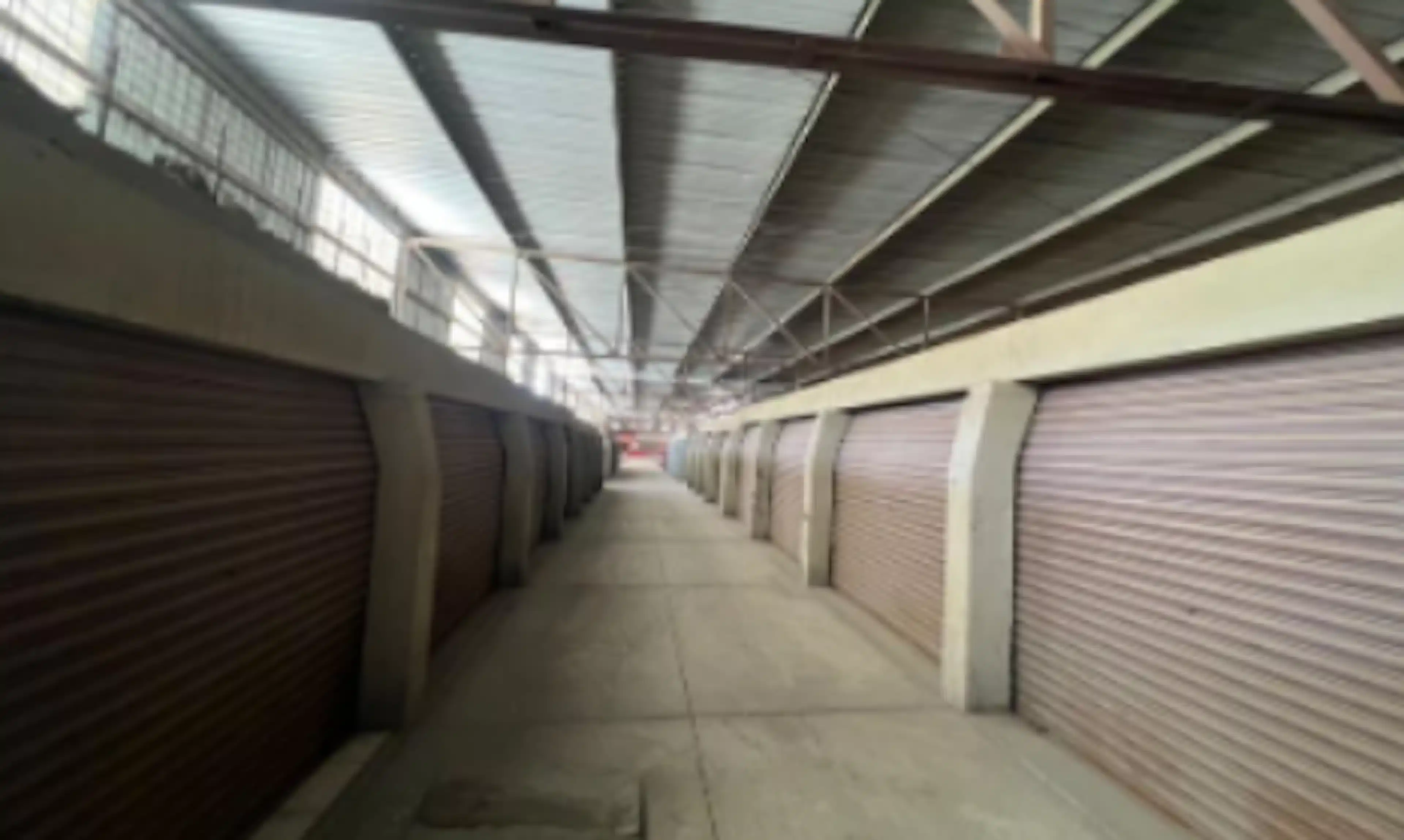Local 203 A