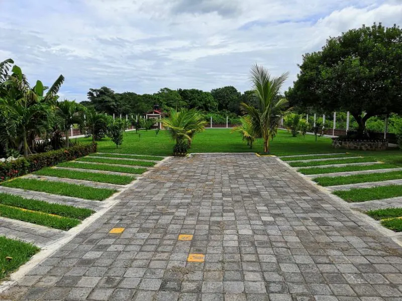 Terreno Spot2