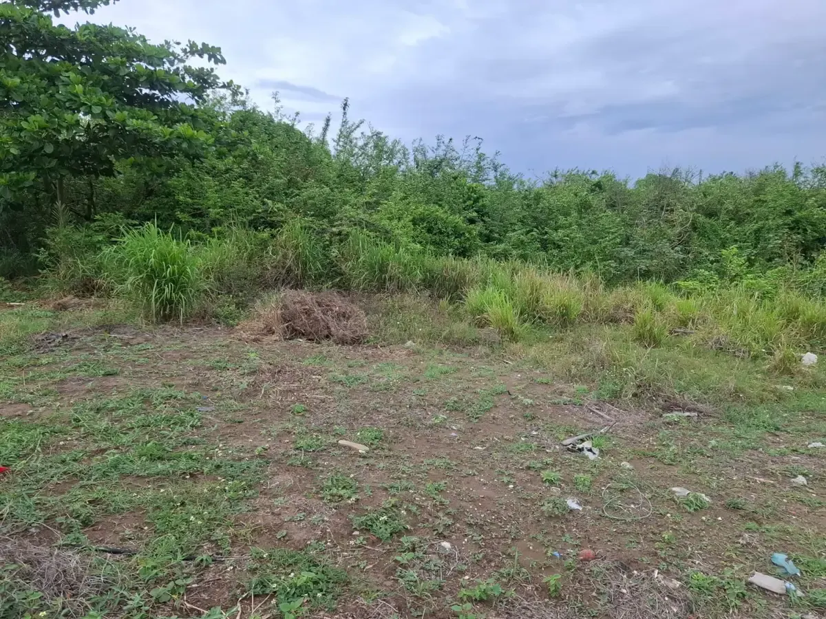 Terreno Spot2