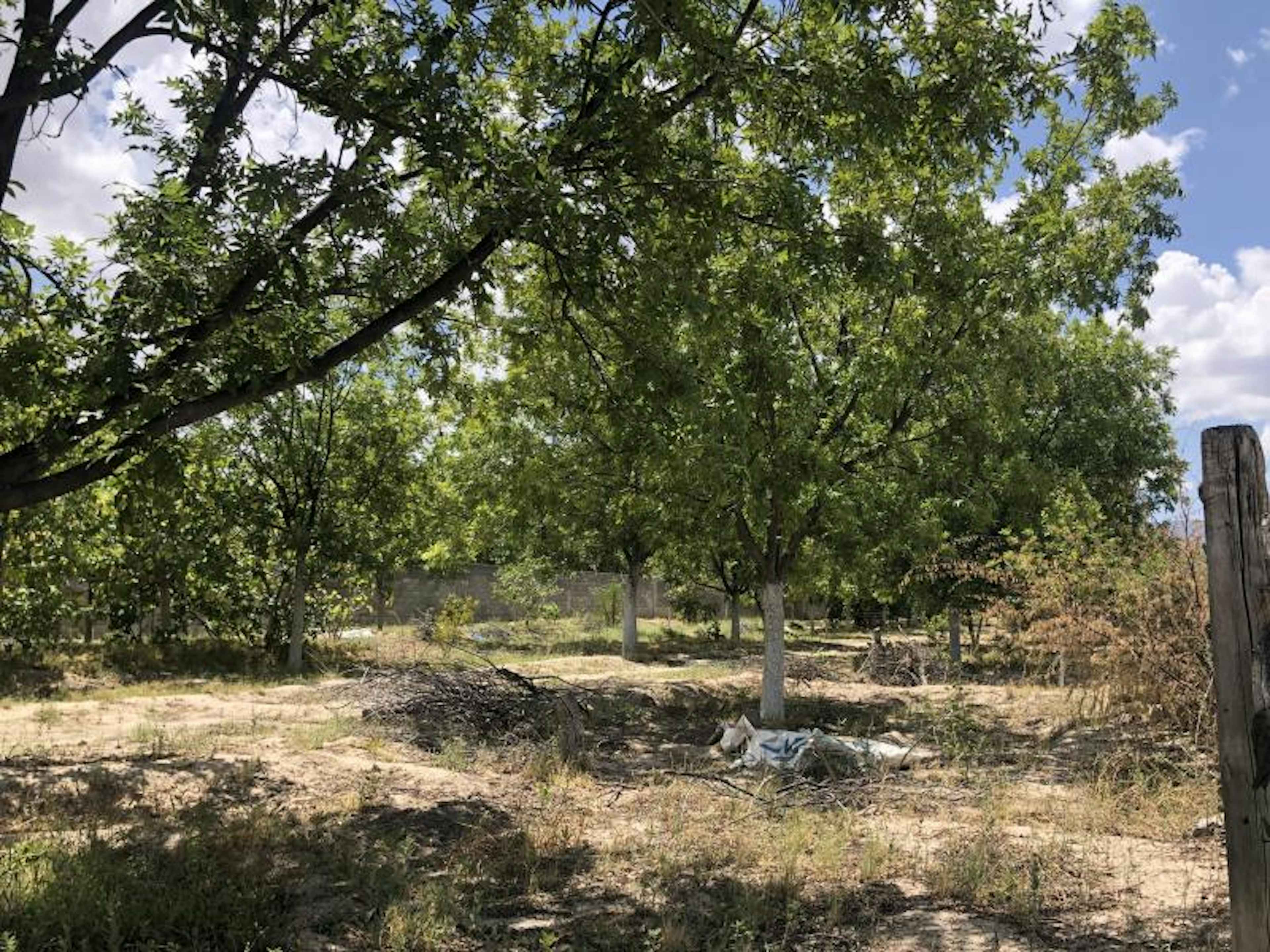 Terreno En Venta En Los Hoyos (el Potrero), Parras, Coahuila De Zaragoza