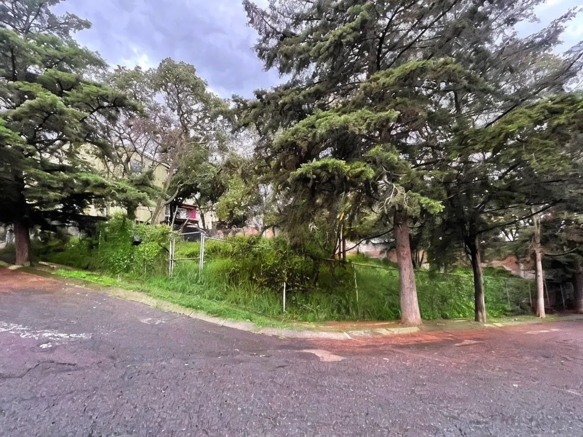 Terreno Spot2