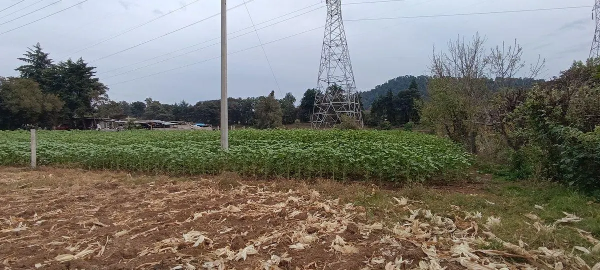 Terreno Spot2
