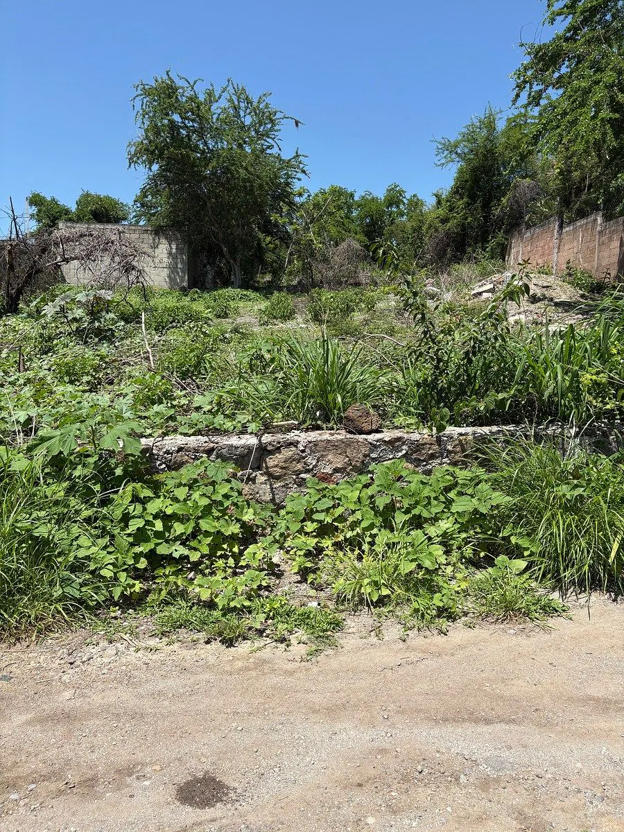 Terreno Spot2