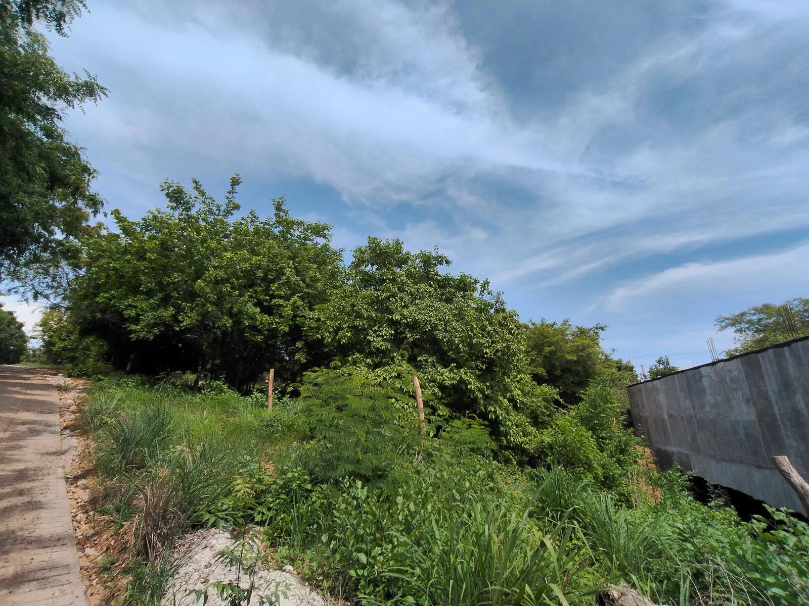 Terreno Spot2