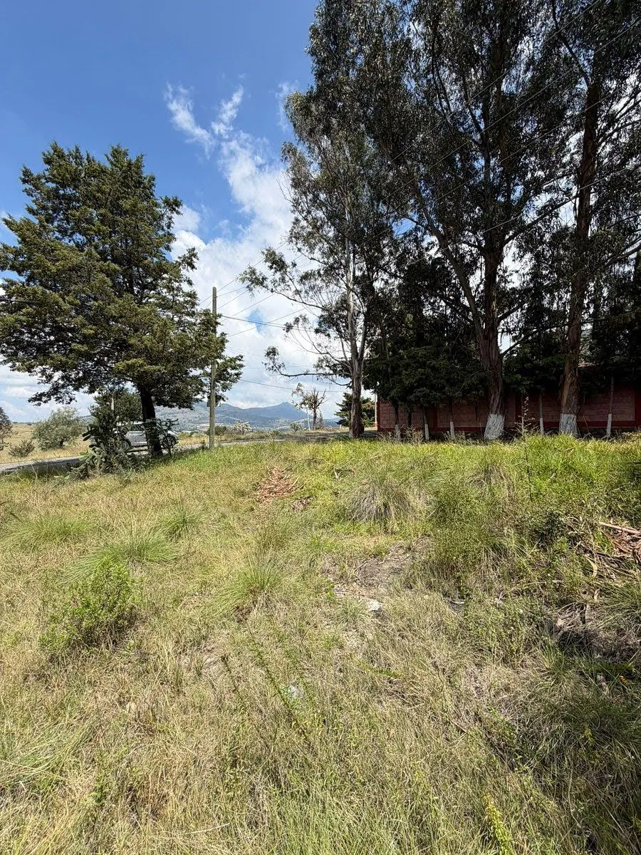 Terreno Spot2