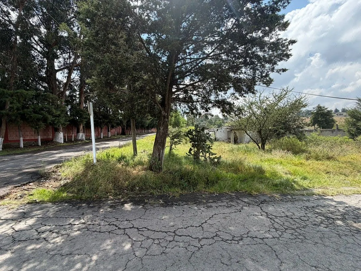 Terreno Spot2