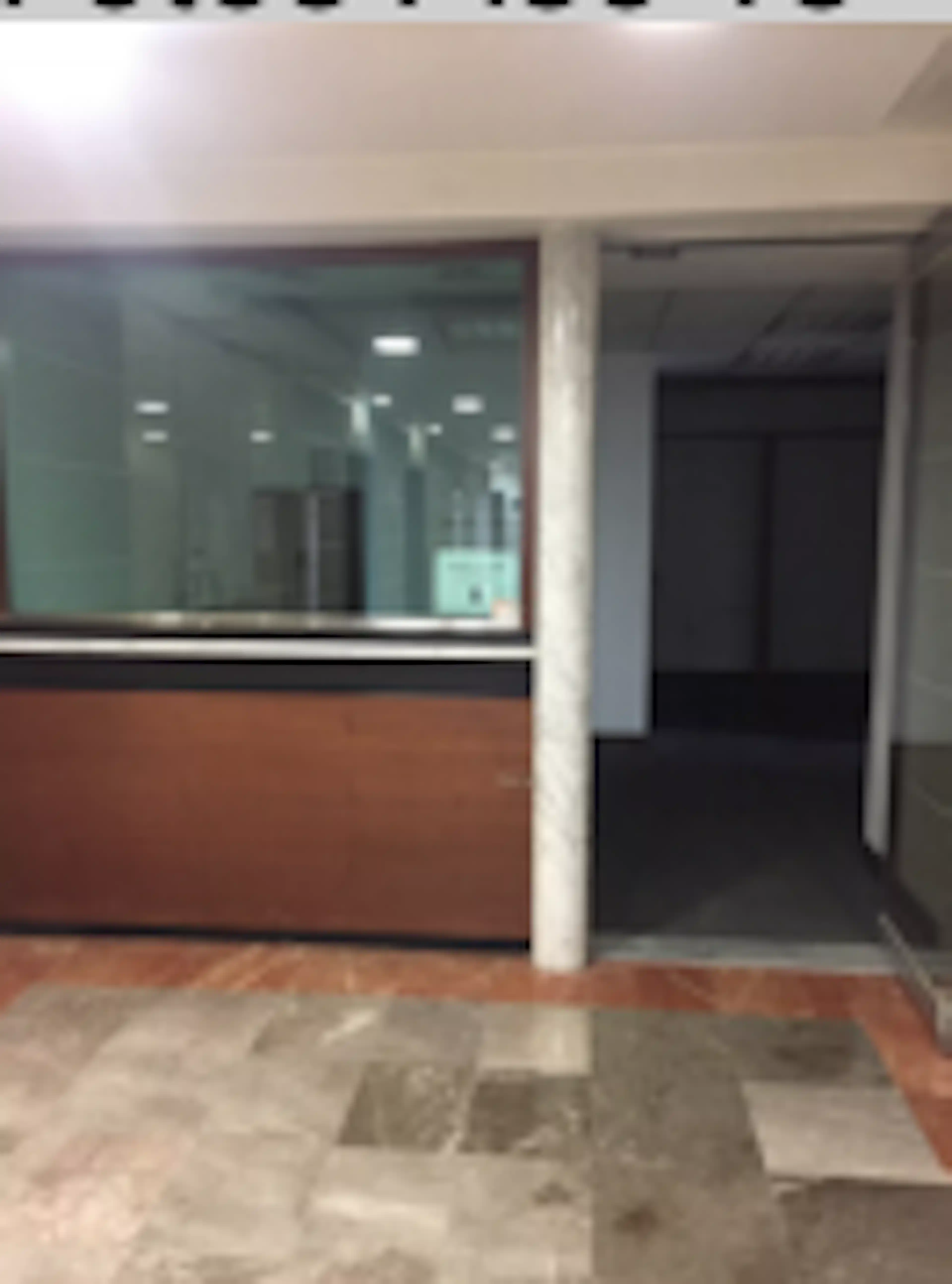 Avenida Insurgentes Sur
