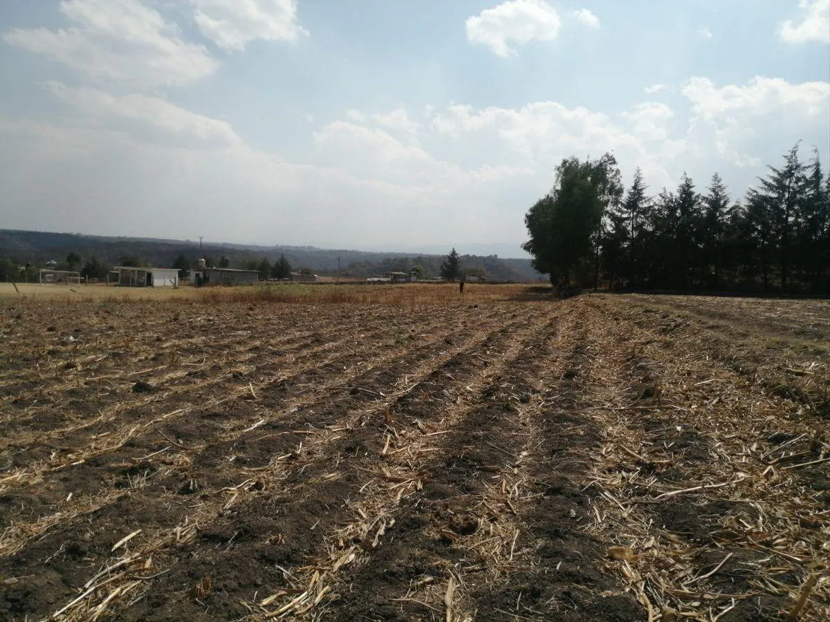 Terreno Spot2