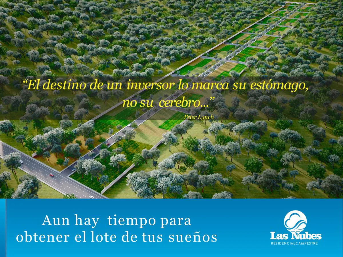 Terreno Spot2