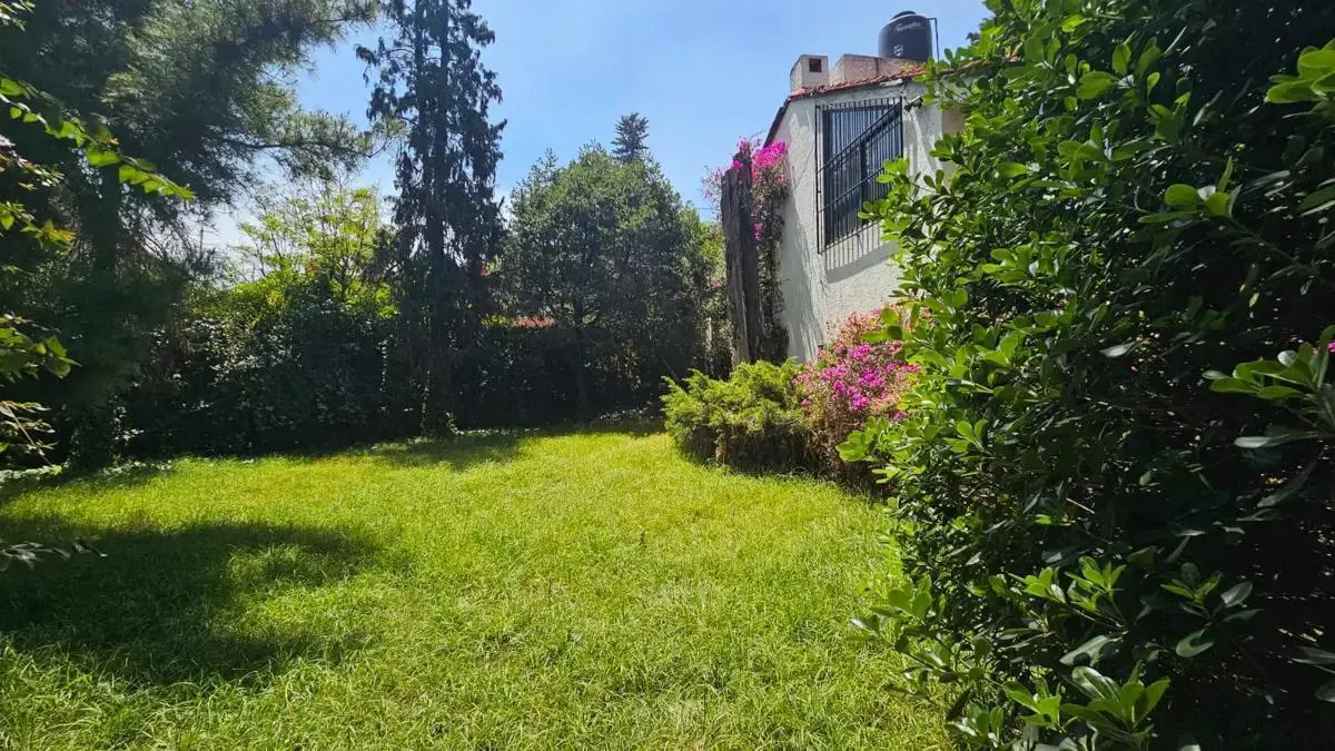 Terreno Spot2