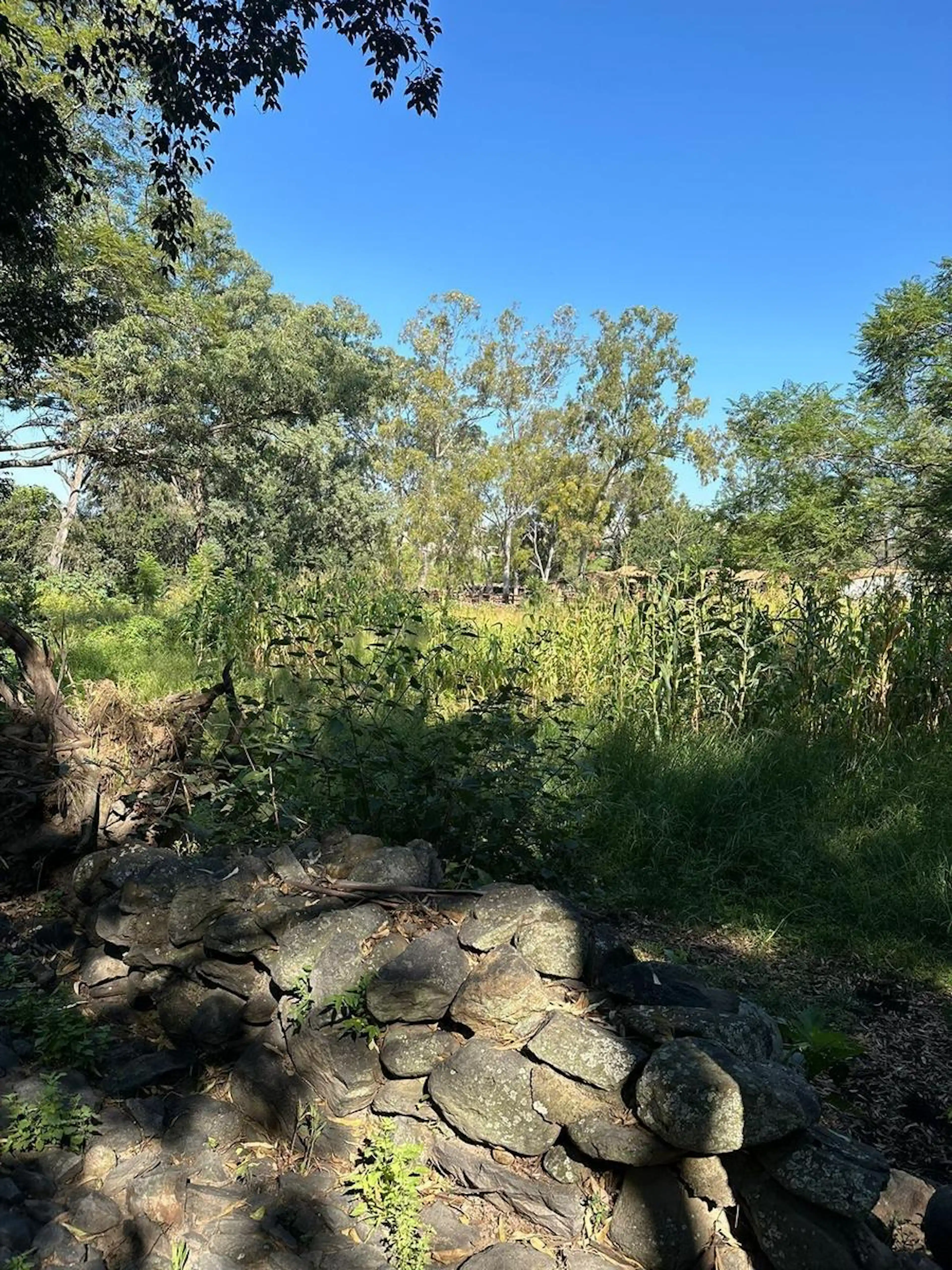 Terreno En  Venta