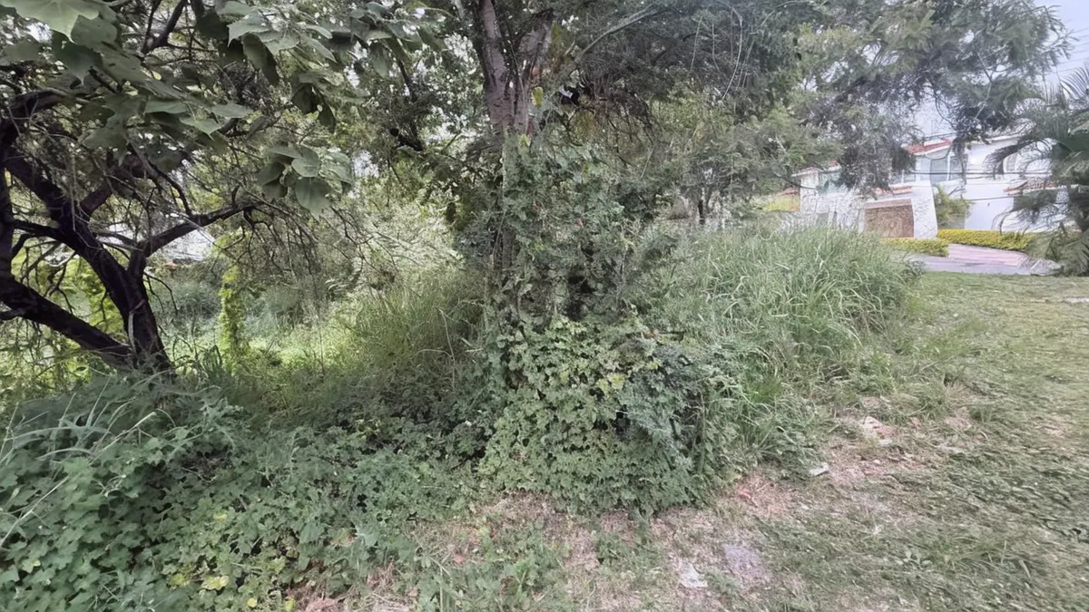 Terreno Spot2